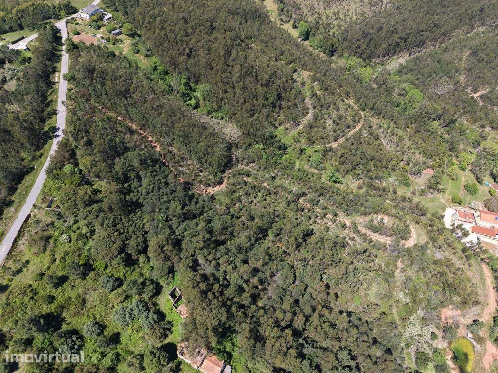 Herdade localizada na Serra da Boa Viagem na Figueira da Foz - Grande imagem: 2/8