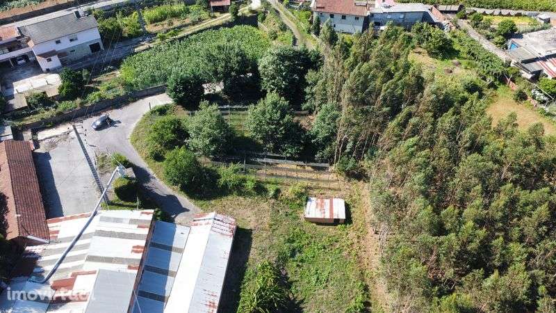 Vendo Monte, Armazem e Terras - Grande imagem: 3/5