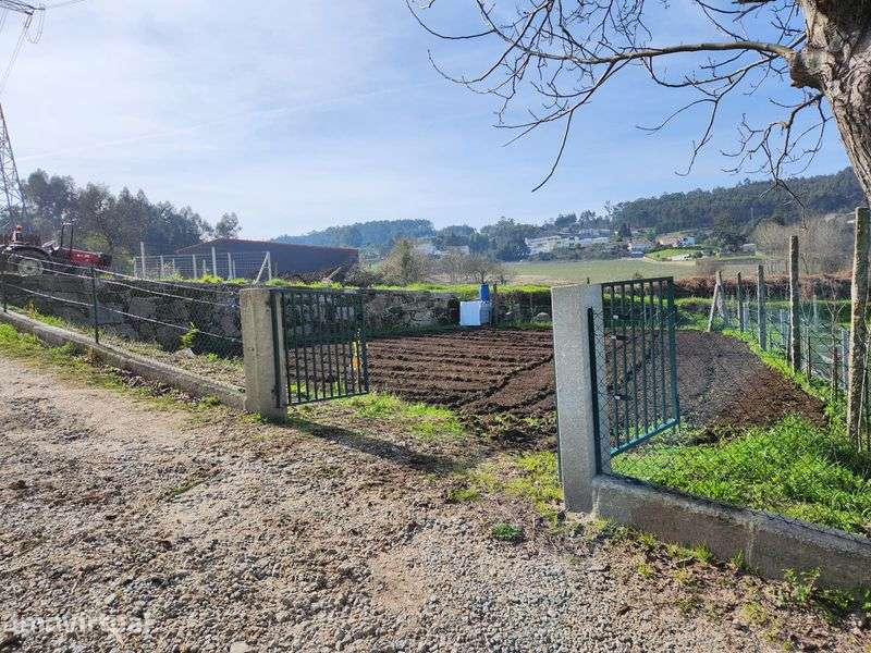 Terreno para cultivo  aluguer - Grande imagem: 2/2