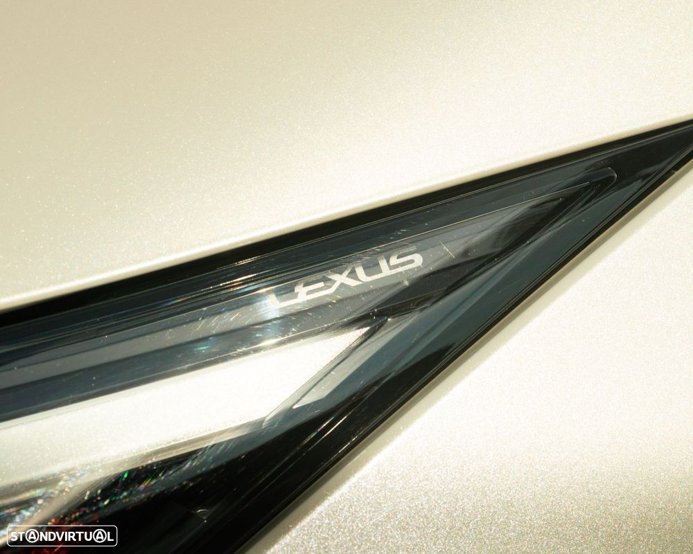 Lexus RZ 450e Premium Monotone c/ mala elétrica - 24