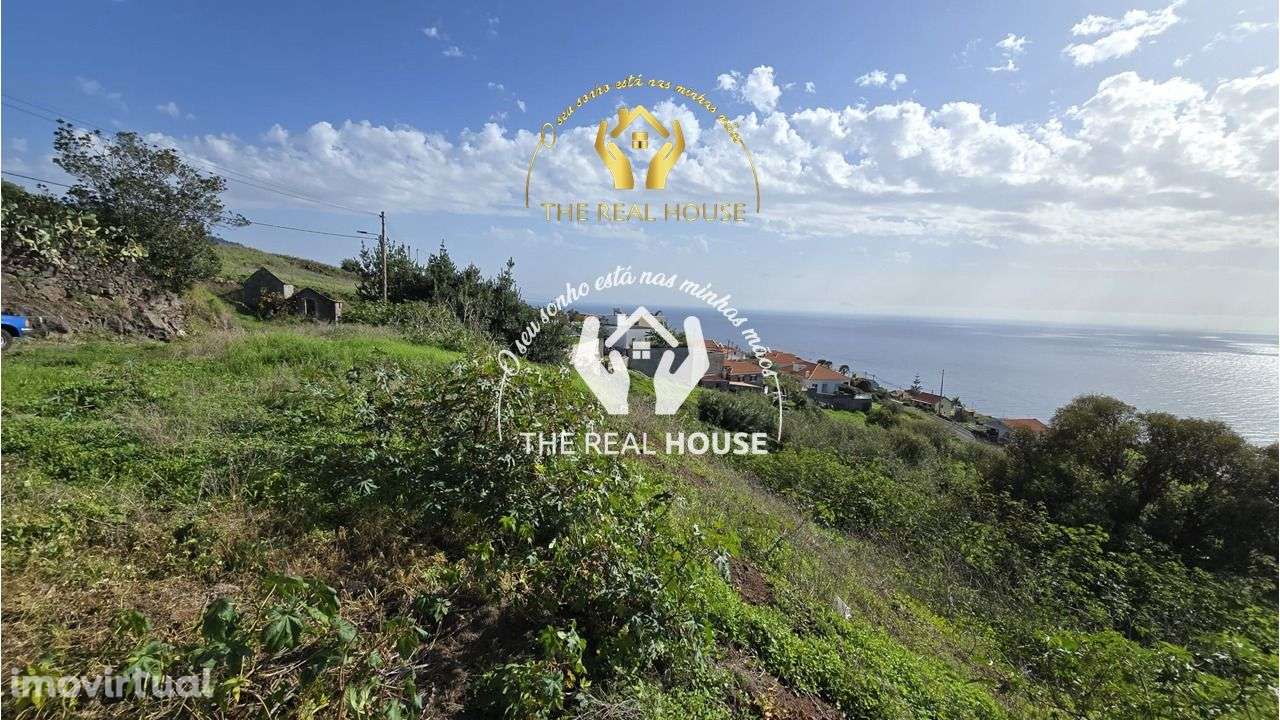 TERRENO VISTA MAR CALHETA - Grande imagem: 2/8