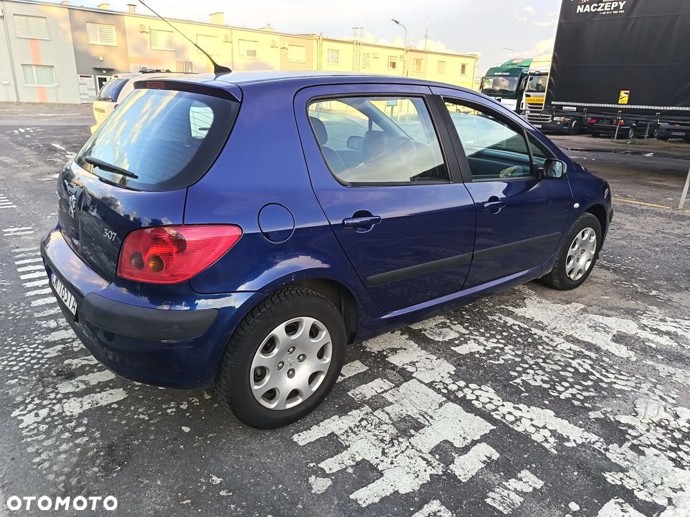 Peugeot 307 1.6 Mistral - 8