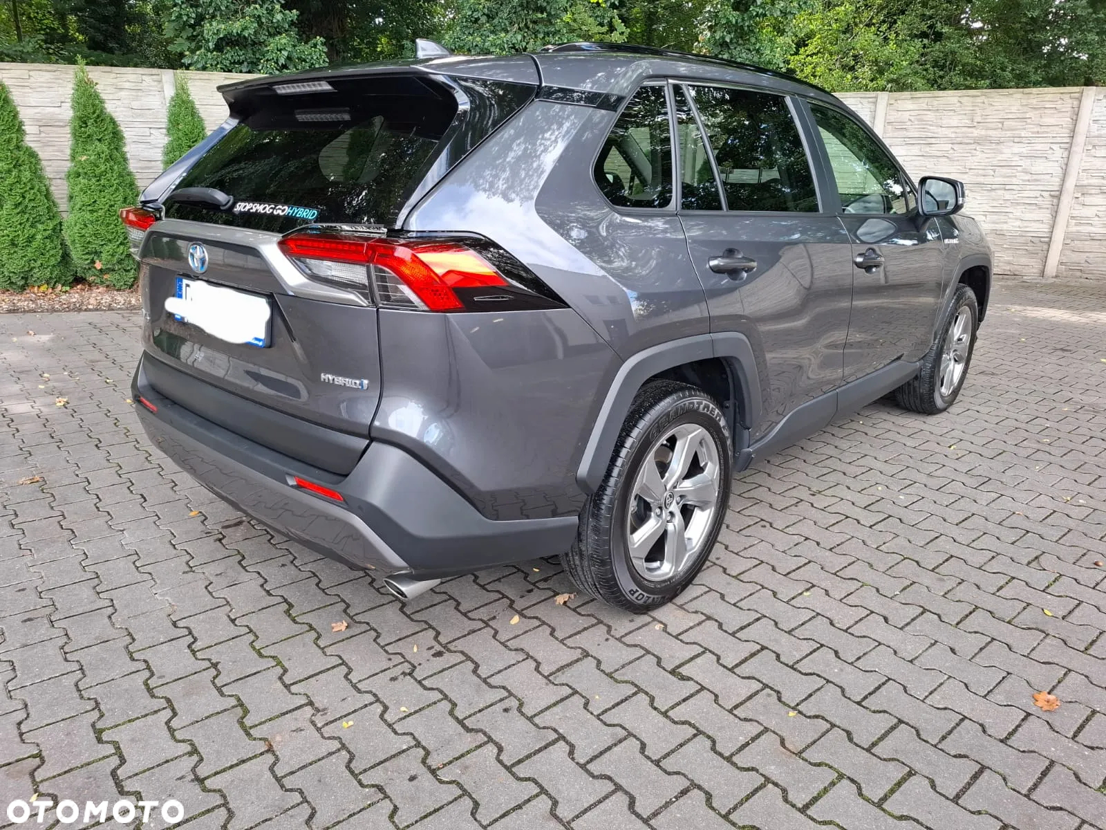 Toyota RAV4 2.5 Hybrid Comfort 4x2 - 9