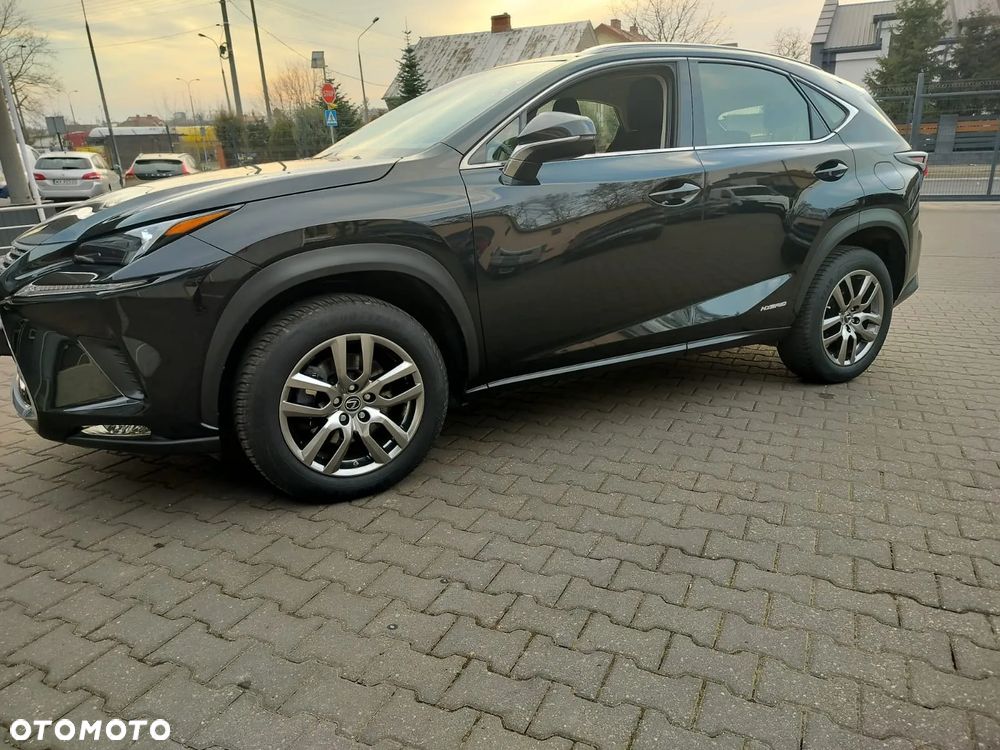 Lexus NX 300h Business Edition AWD - 20