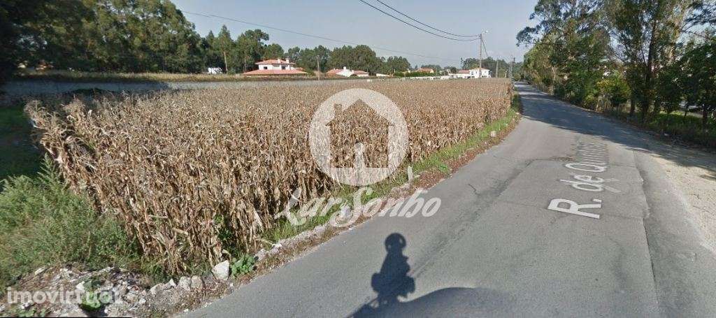 Terreno de construção com 7.600 m2 em Argivai - Grande imagem: 4/5