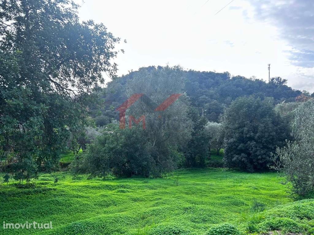 Terreno urbano com vista campo - Salir - Grande imagem: 2/8