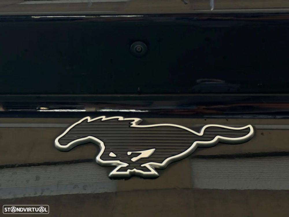 Ford Mustang Mach-E Standard - 10