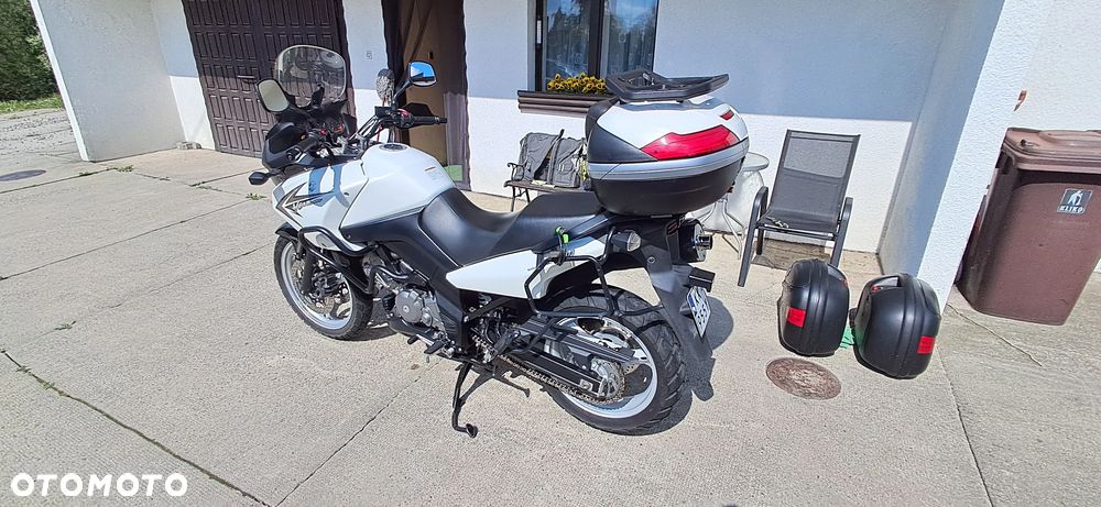 Suzuki DL - 20
