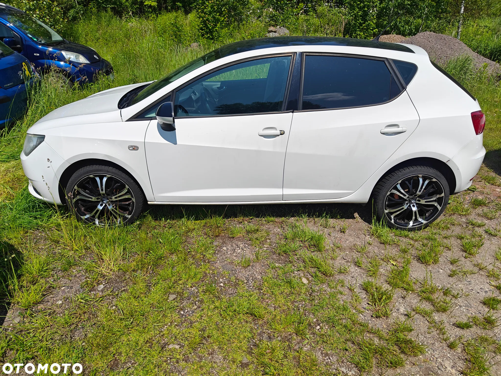 Seat Ibiza 1.6 TDI DPF Style - 3
