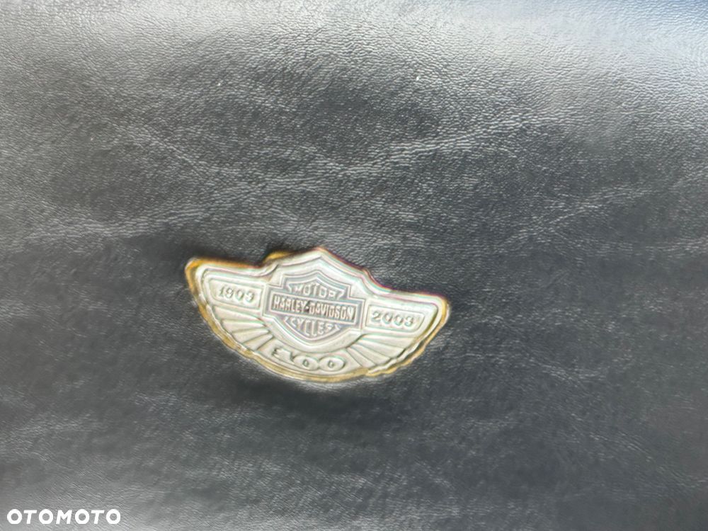 Harley-Davidson Electra - 13