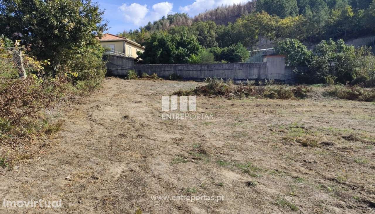 Venda Terreno, Tarouquela, Cinfães - Grande imagem: 2/23