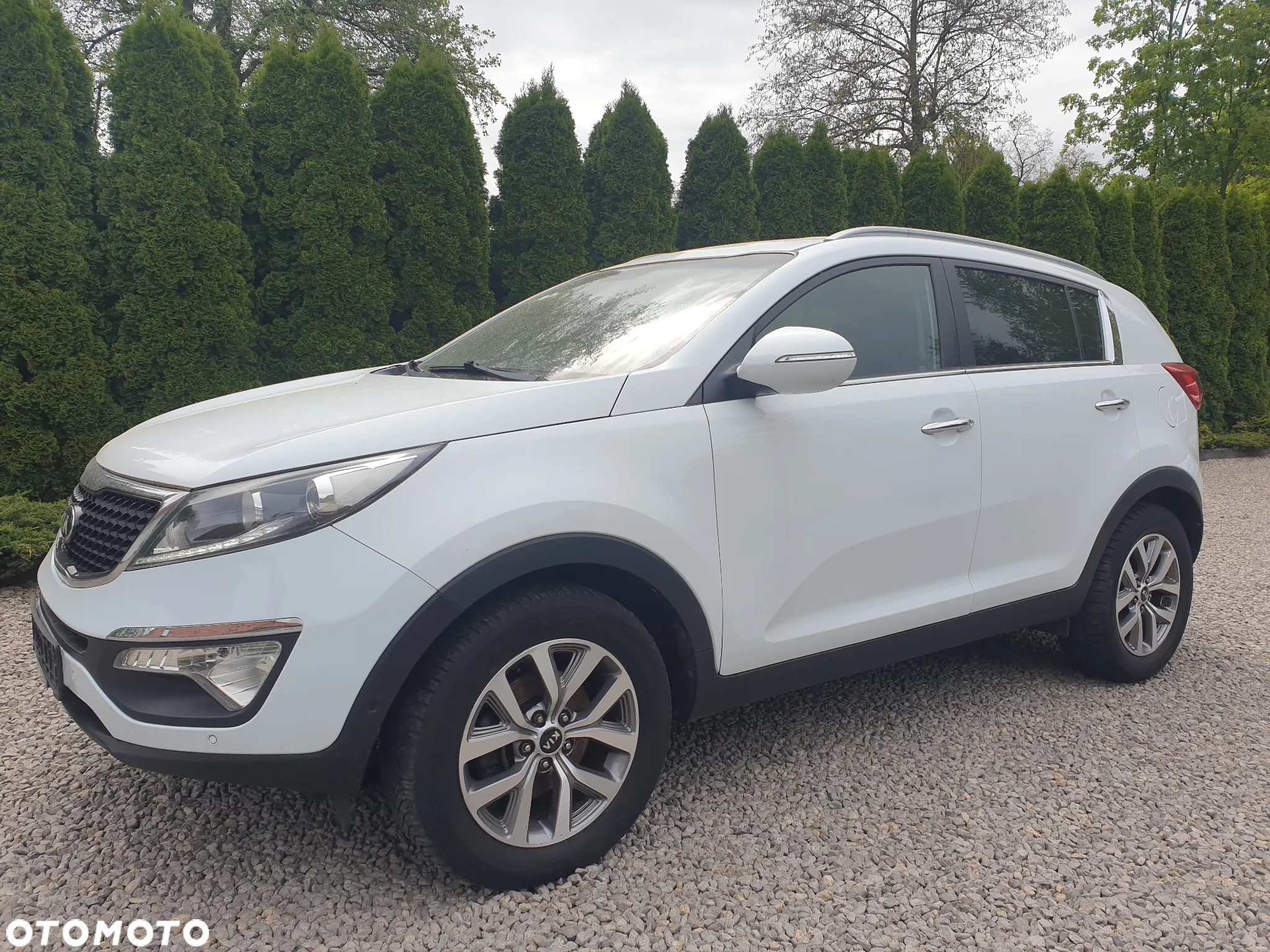 Kia Sportage 1.6 GDI Business Line M 2WD - 5