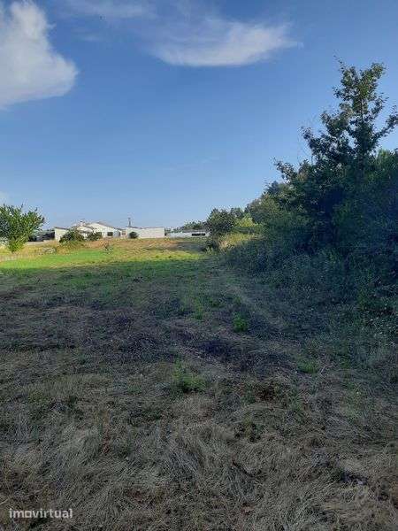 Terreno construção Condeixa-a-Nova, Belide 2500m² - Grande imagem: 3/4
