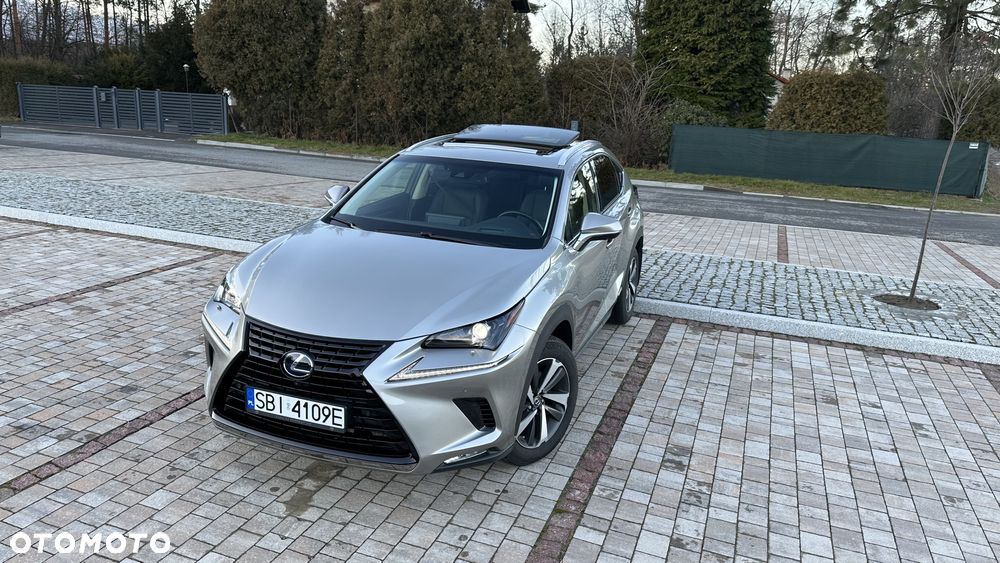Lexus NX 300h Elite AWD - 1