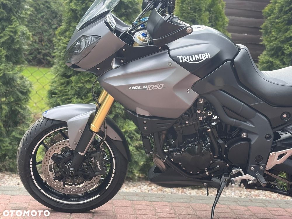 Triumph Tiger - 19