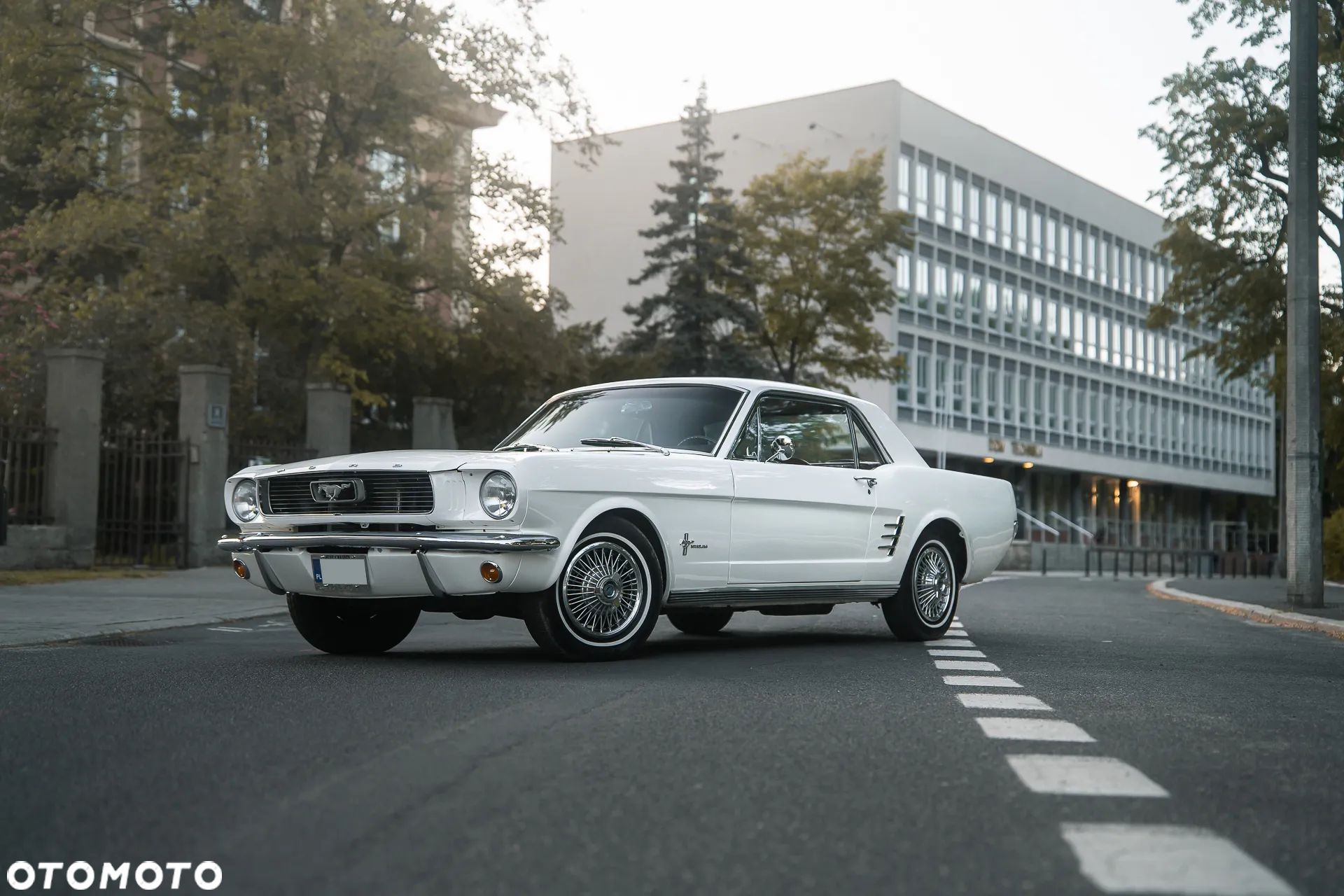 Ford Mustang - 1