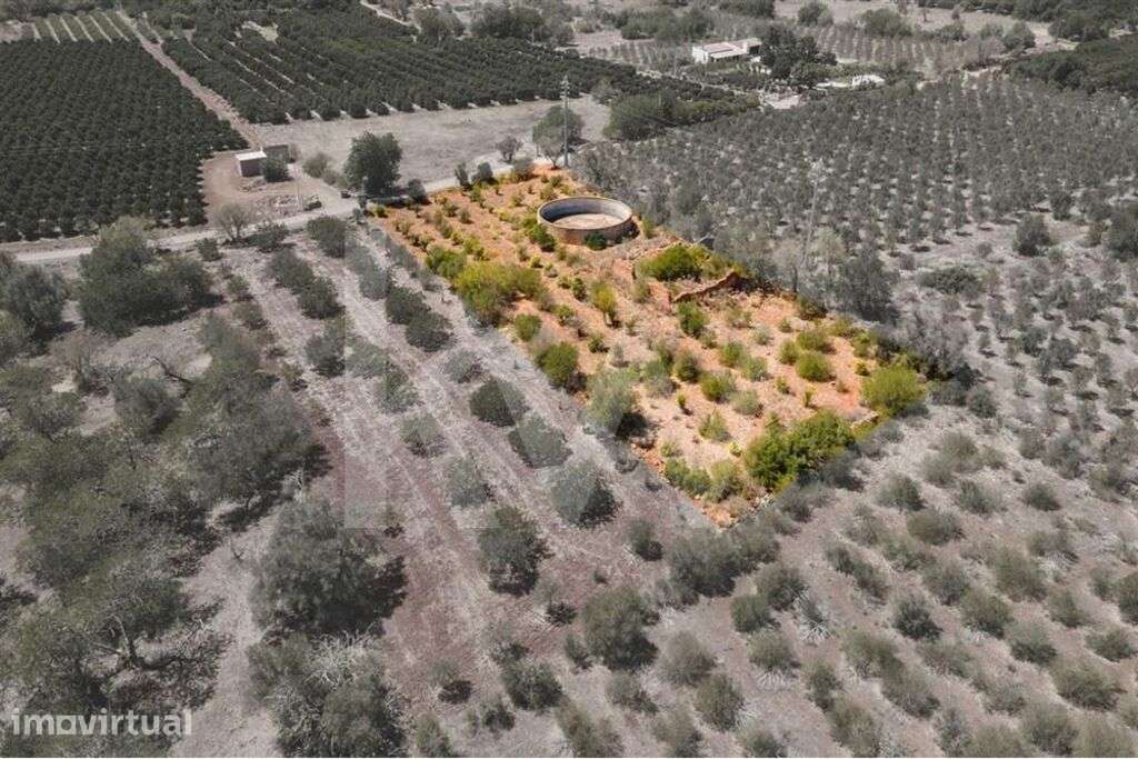 Terreno com 3.240 m2 e ruína – São Bartolomeu de Messines (Torreirão) - Grande imagem: 2/24
