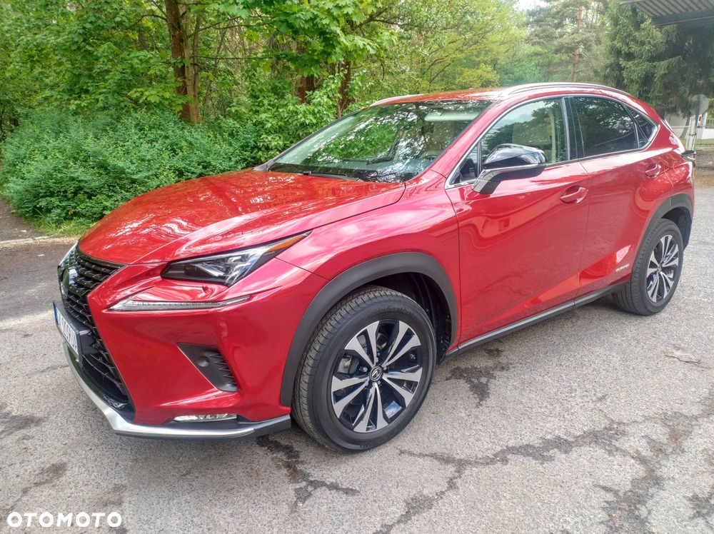 Lexus NX 300h F Impression AWD - 2