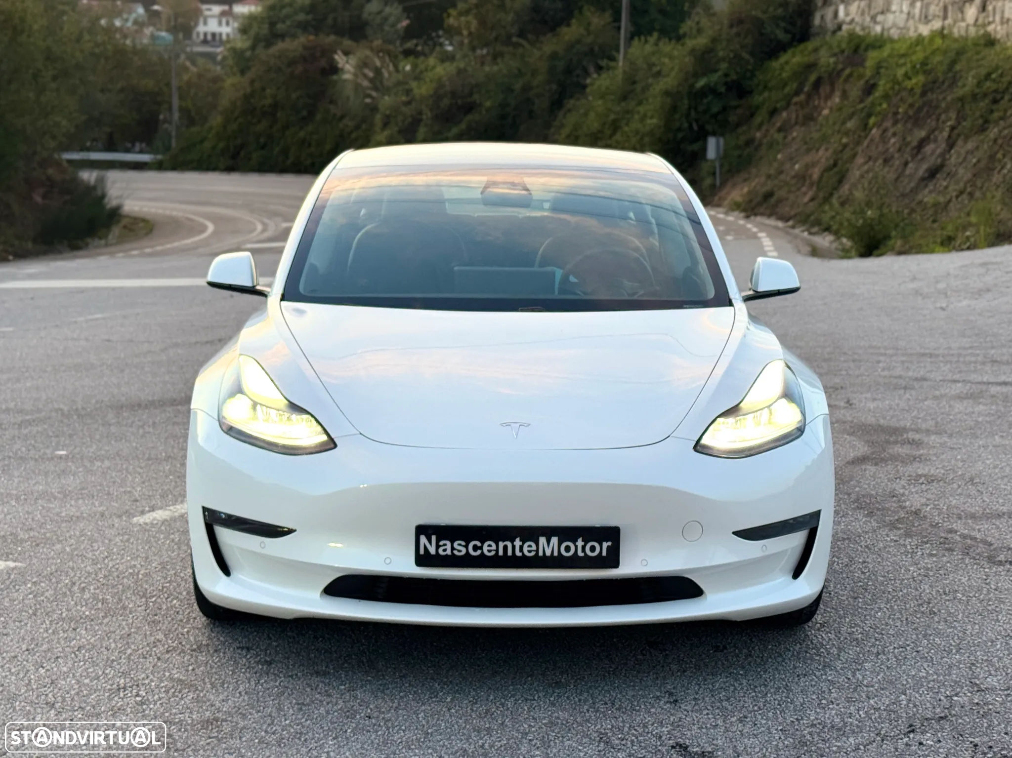 Tesla Model 3 Standard Range Plus RWD - 2