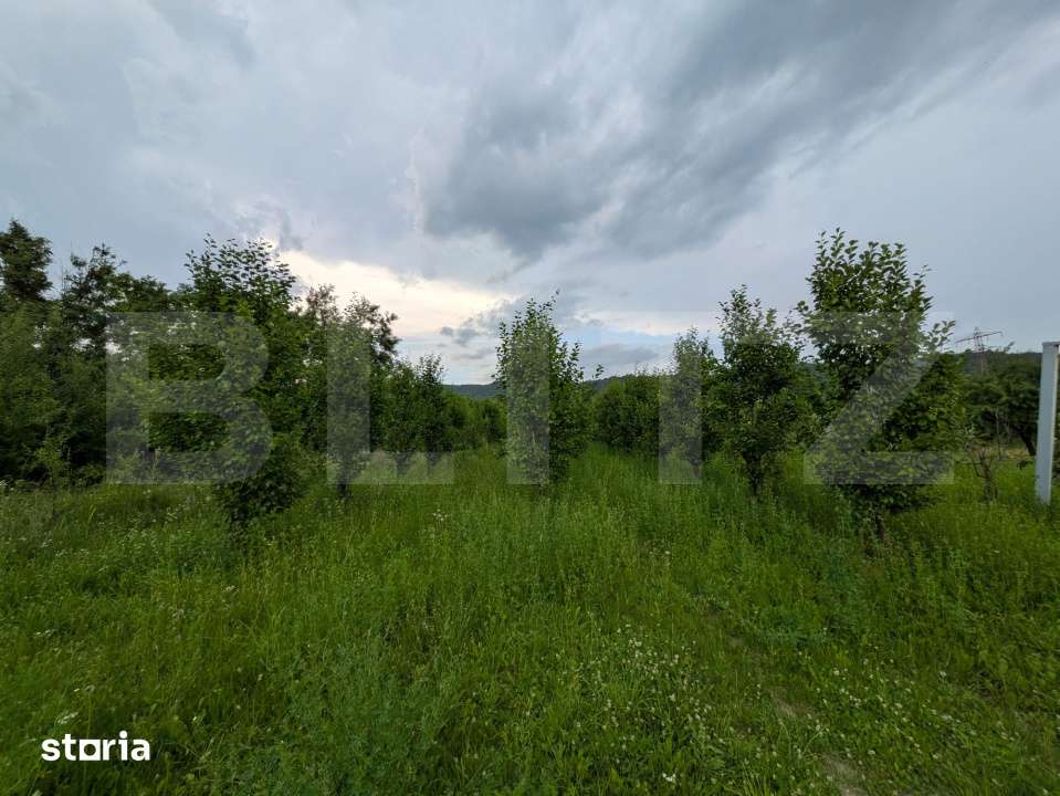 Teren intravilan, 4500 mp, zona Voinesti - Imagine principală: 5/7