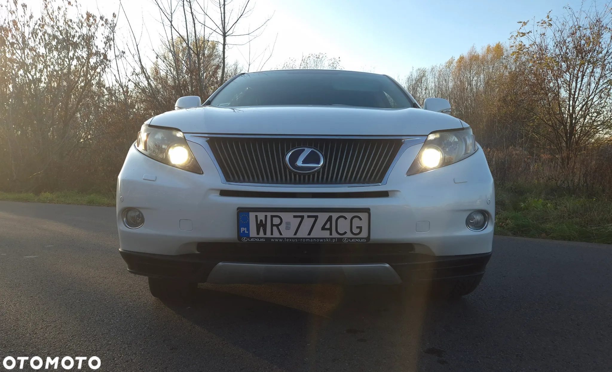 Lexus RX - 19