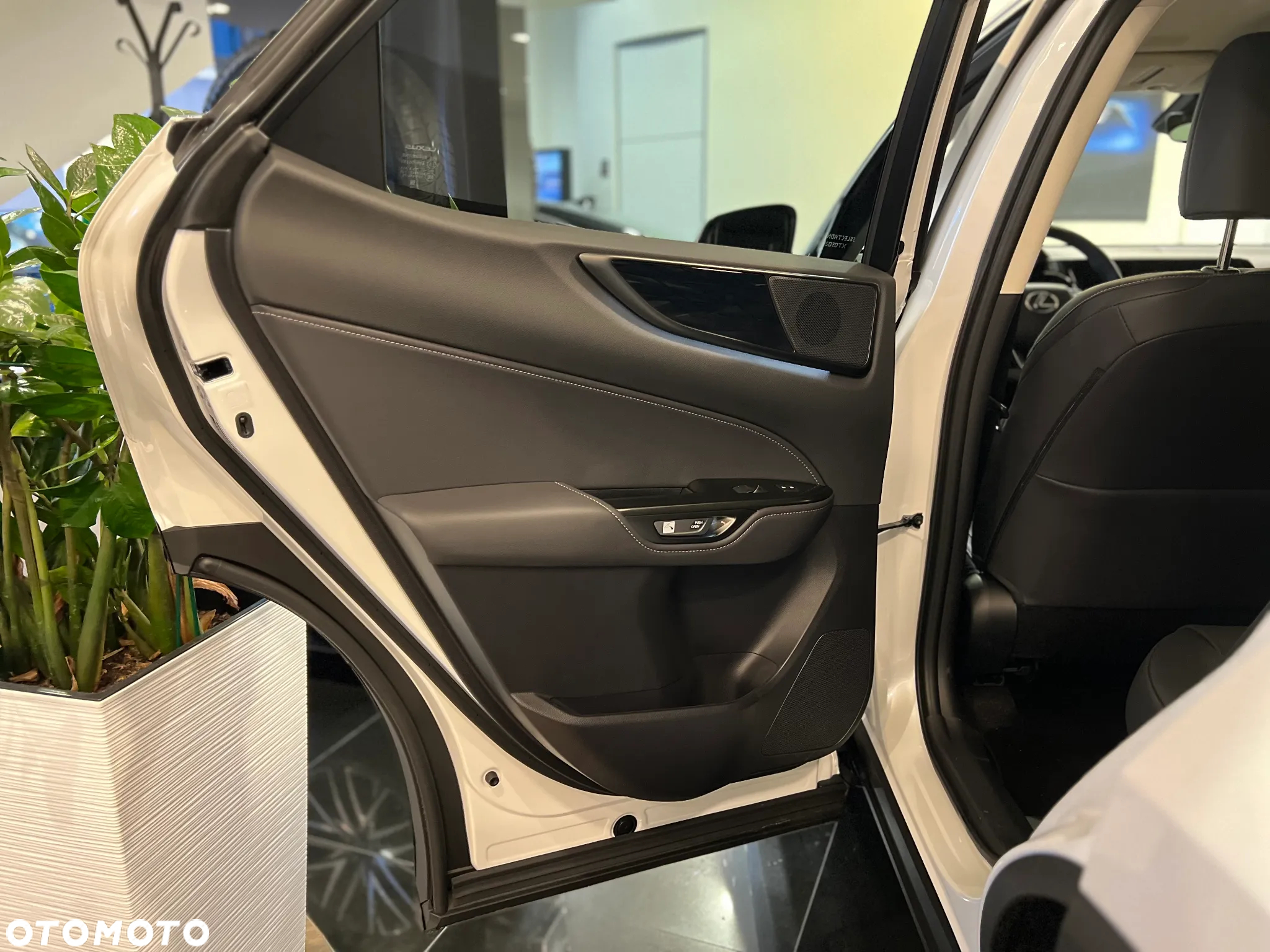 Lexus NX - 19