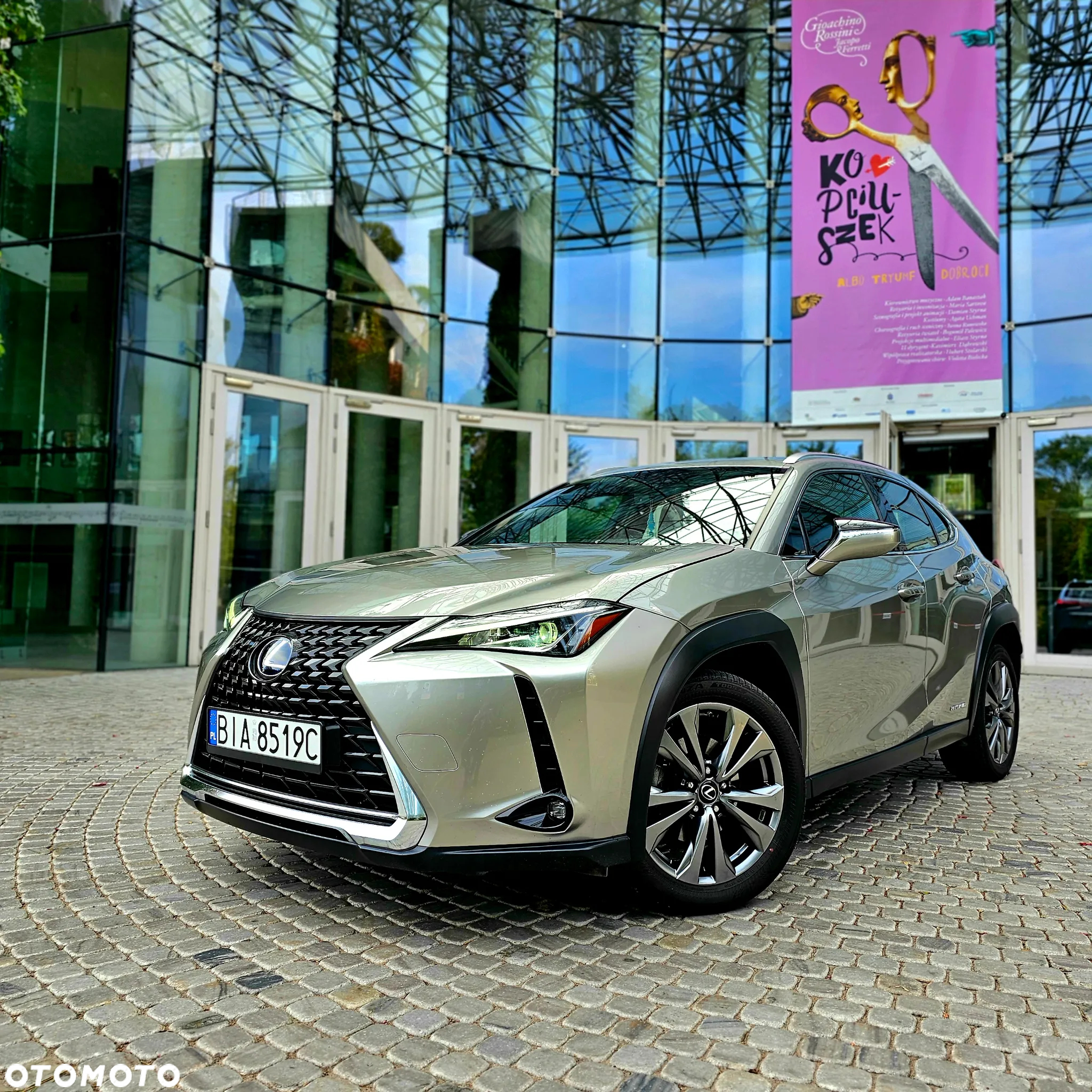 Lexus UX 250h GPF Elegance 2WD - 4