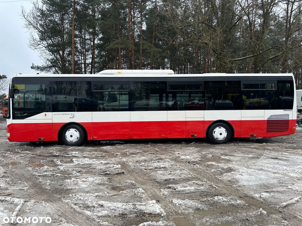 Irisbus CROSSWAY IVECO SFR161 MANUAL RETARDER KLIMA 12m NISKI POKŁAD DO PRZEWOZU OSÓB NIEPEŁNOSPRAWNYCH 39-SIEDZEŃ 57-STOJĄCYCH 560000km OPONY:275/70/22.5-NOWE!!! NAWIEWY PRZYCIEMNIONE SZYBY 2009r ŁADNY - 5
