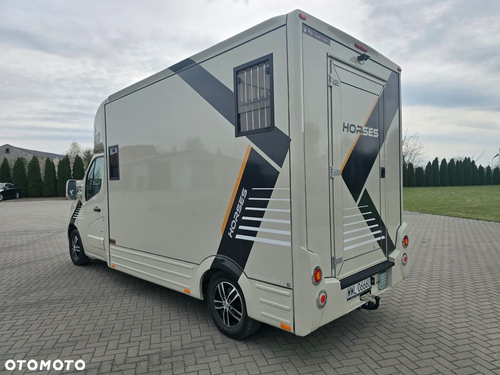 Opel Movano-Koniowóz - 10
