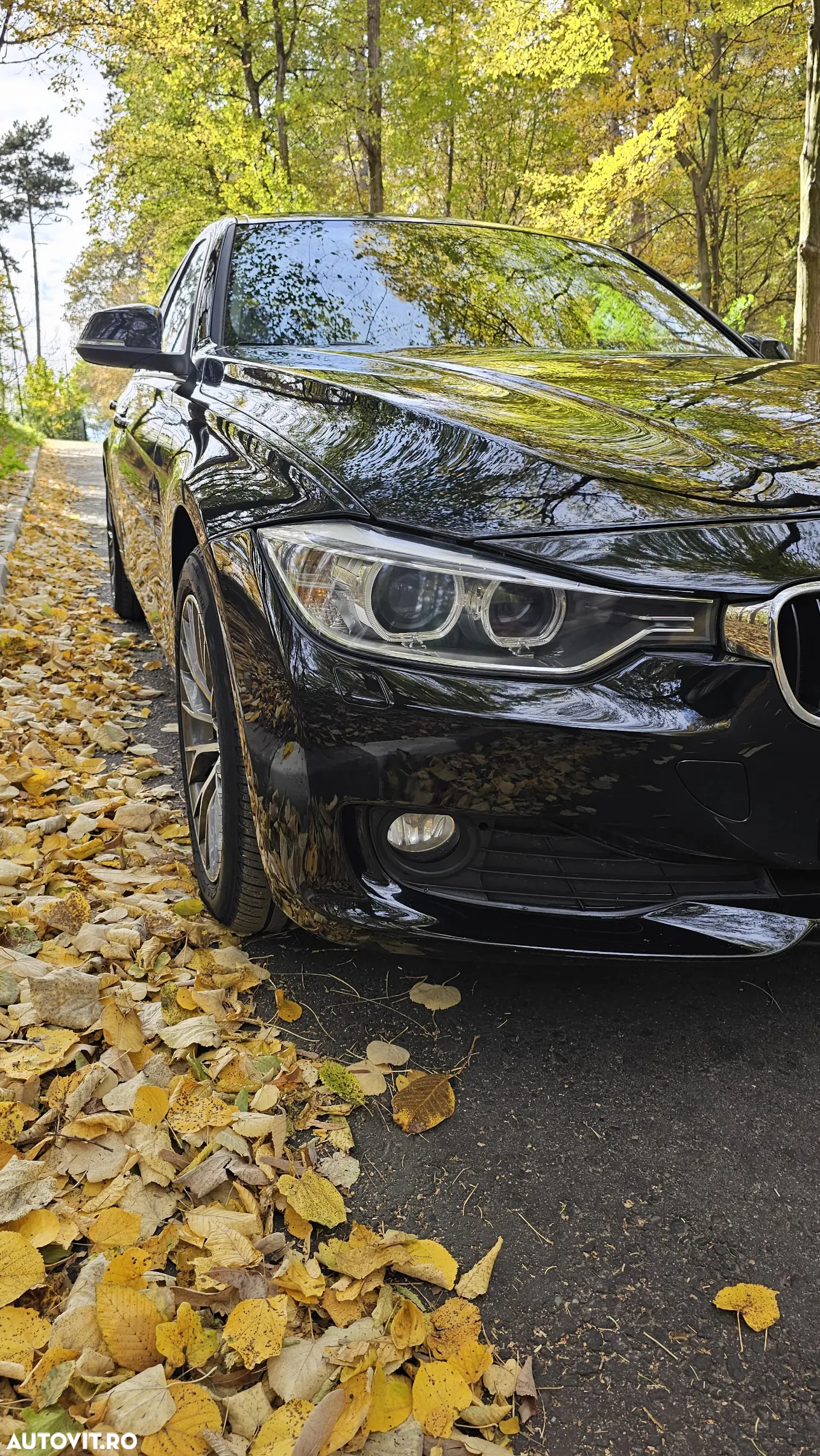 BMW Seria 3 318d Aut. - 17