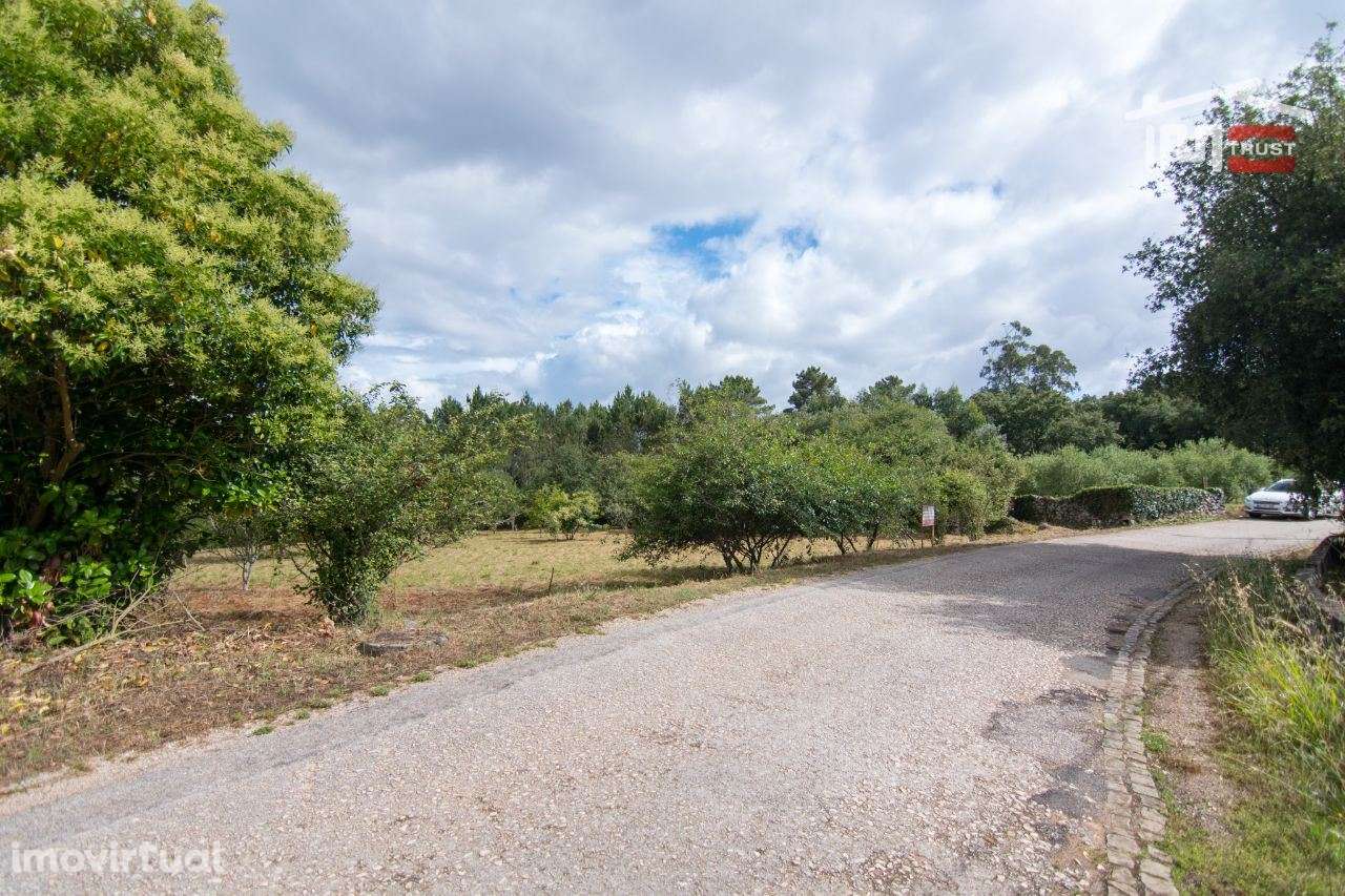 TERRENO COM ÁREA DE 3800 M2. MUITO BOA LOCALIZAÇÃO EM CASAIS DE S.M... - Grande imagem: 5/12