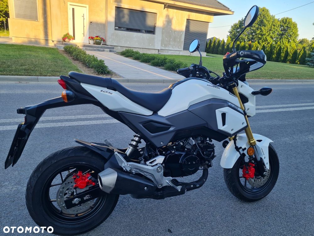 Honda MSX 125 - 4
