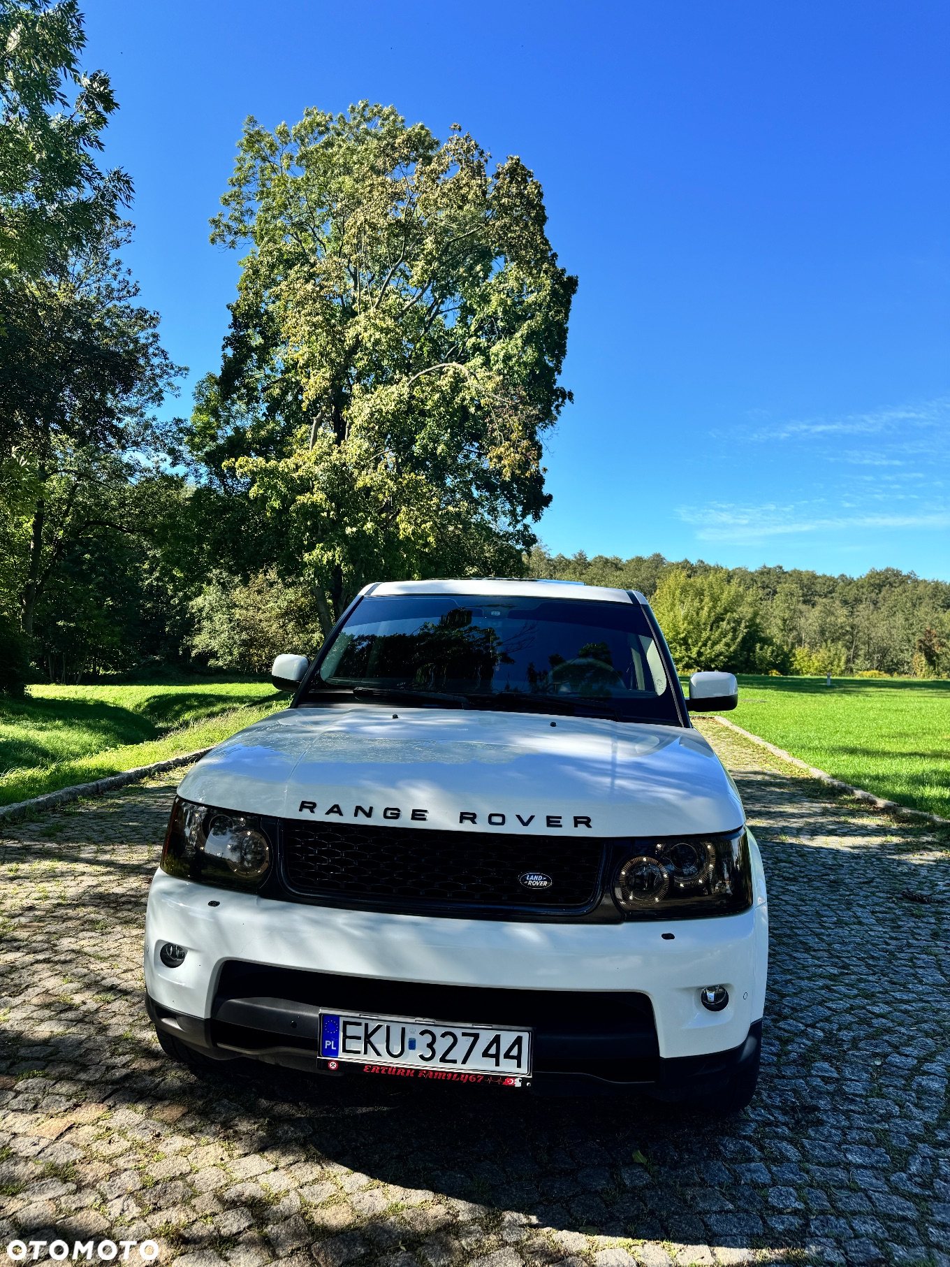 Land Rover Range Rover Sport S 3.0TD V6 HSE - 10
