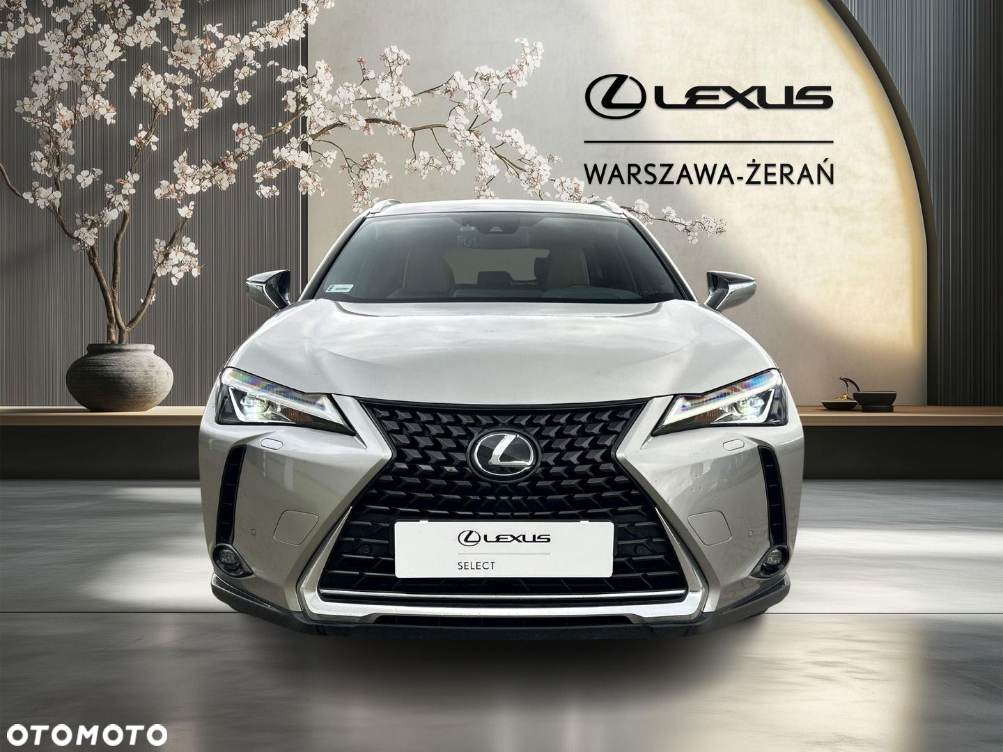 Lexus UX 200 Optimum 2WD - 10