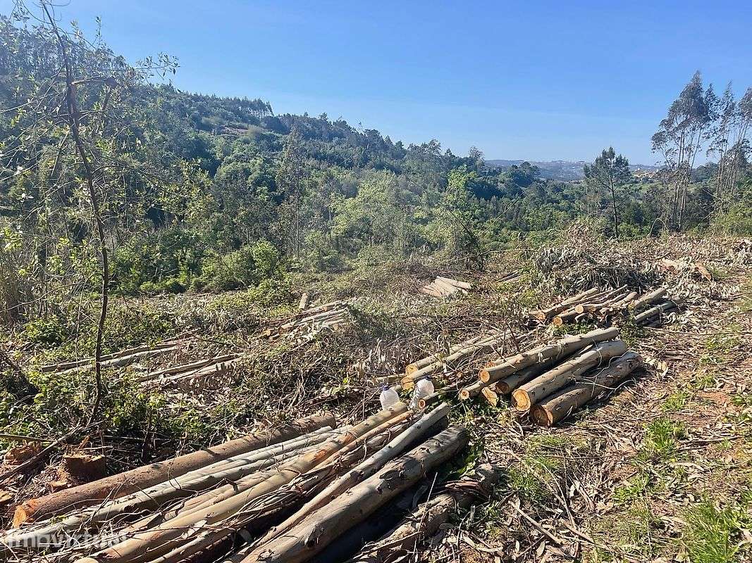 Terreno  para venda - Grande imagem: 2/8