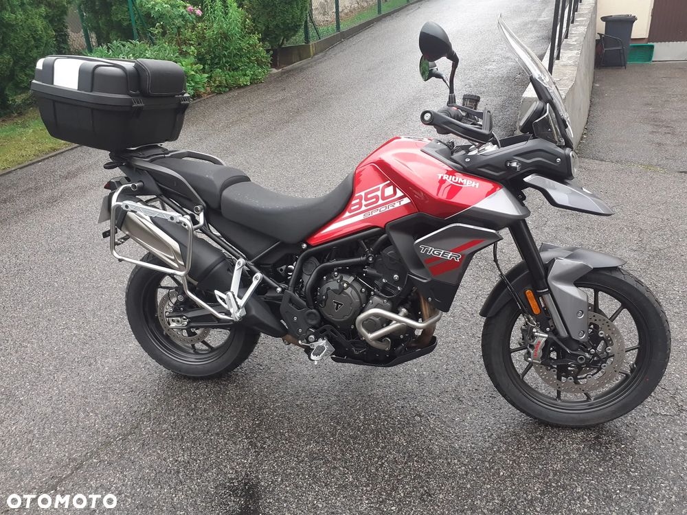 Triumph Tiger - 1