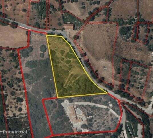 Terreno Rústico com 7500 m2 no Poço Novo - São Clemente - Loulé - Grande imagem: 4/30