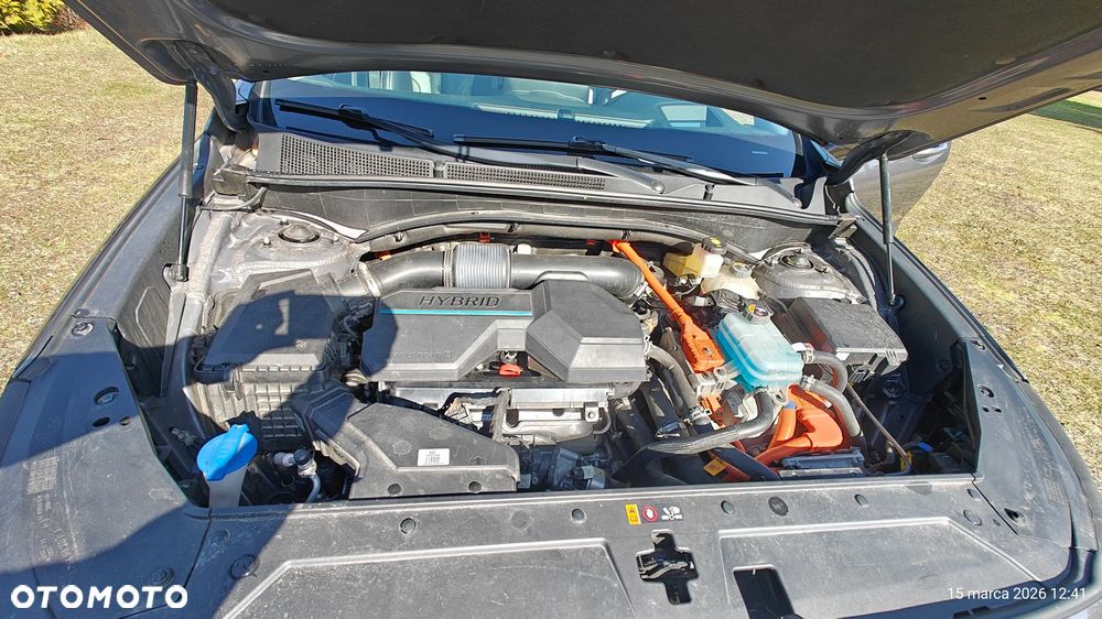 Hyundai Santa Fe - 16