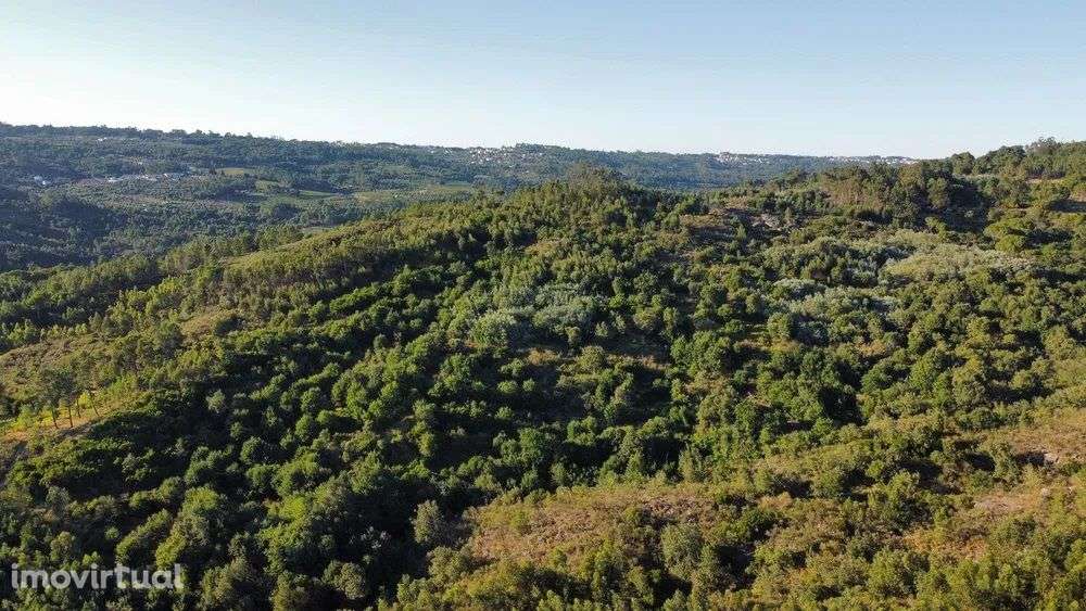 Fantástico terreno com 16ha - Grande imagem: 3/12