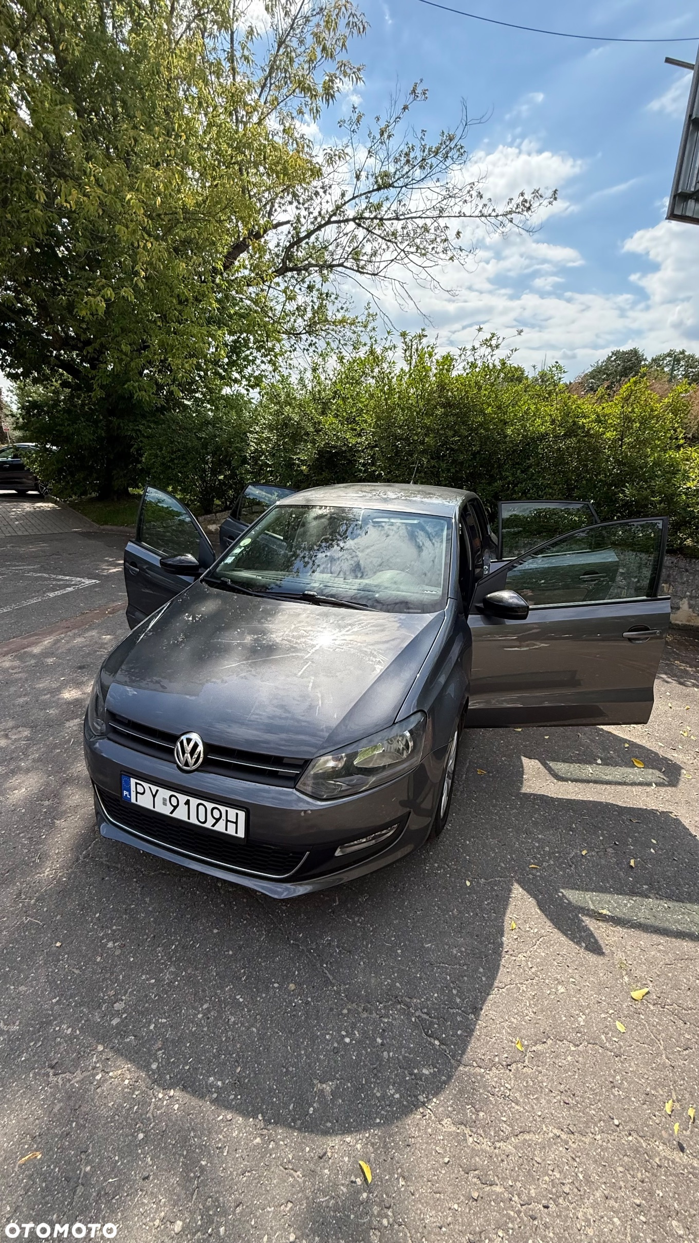Volkswagen Polo - 19