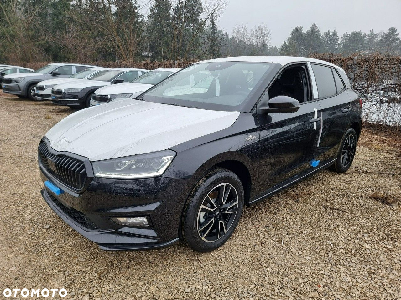 Skoda Fabia - 2
