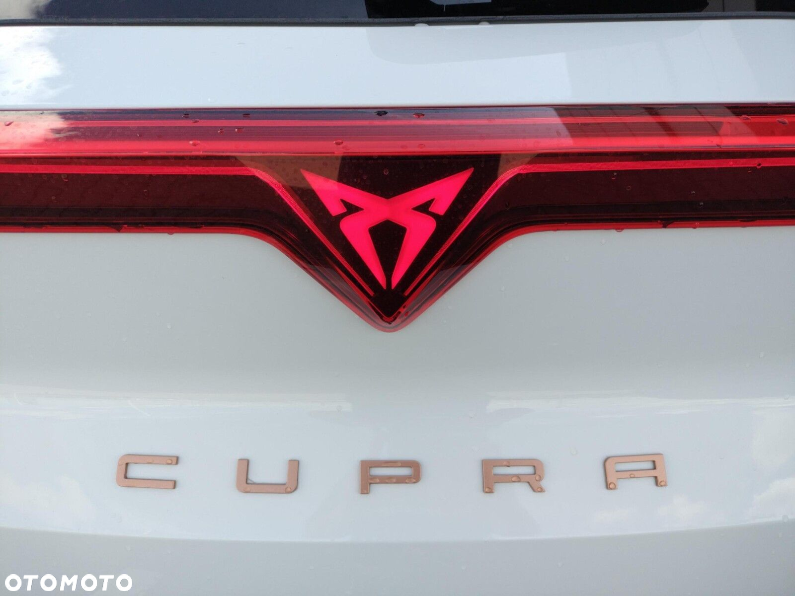 Cupra Terramar 1.5 eHybrid PHEV DSG - 11
