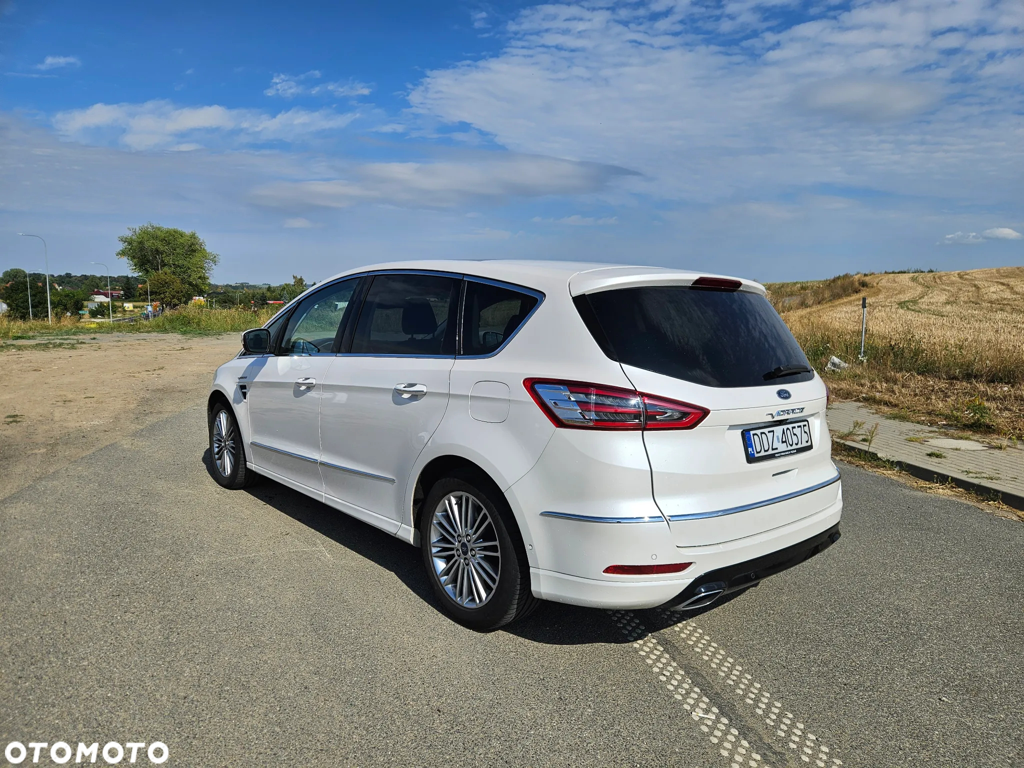 Ford S-Max 2.0 EcoBlue Vignale - 6