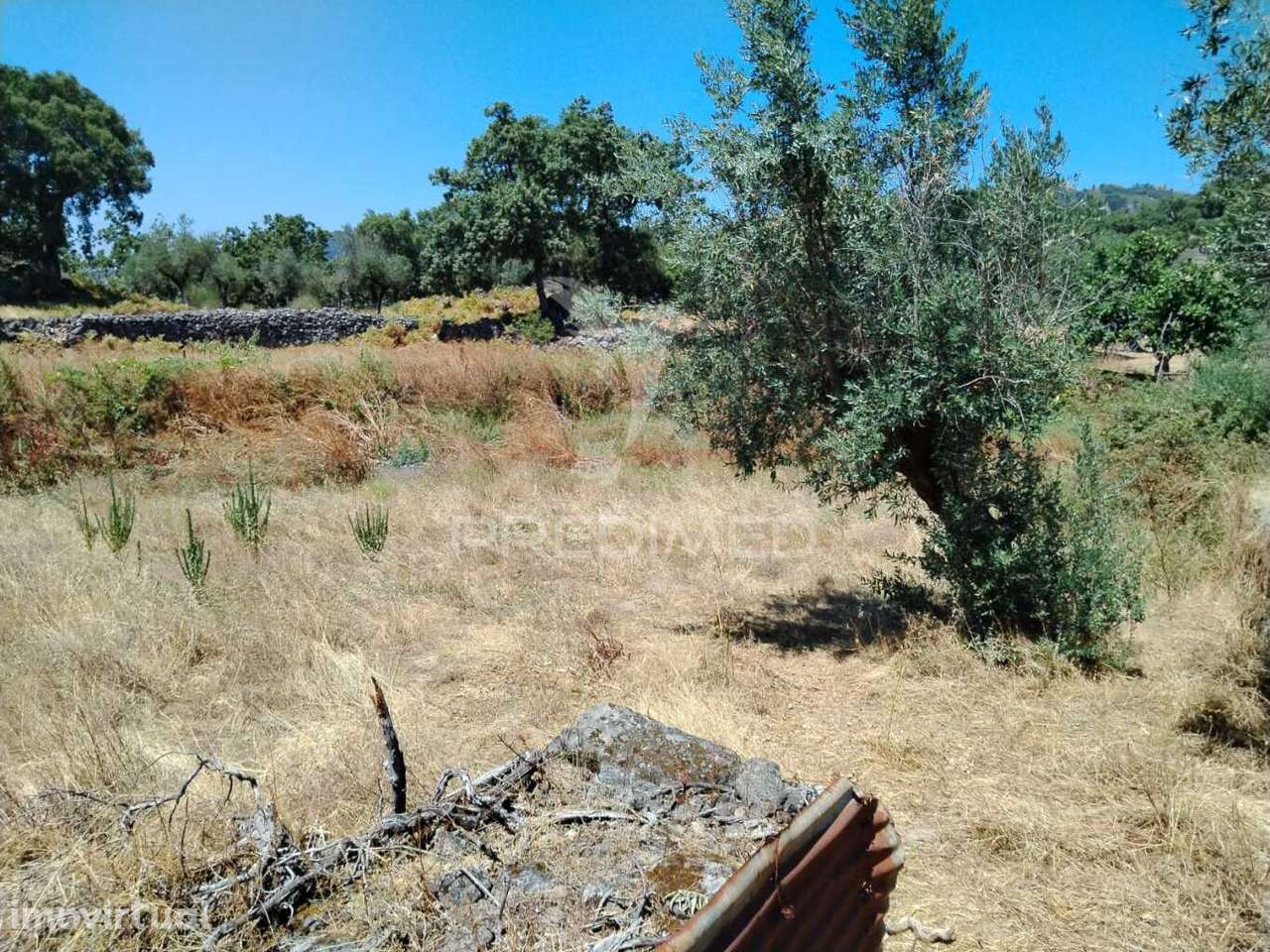 Terreno - Grande imagem: 4/4