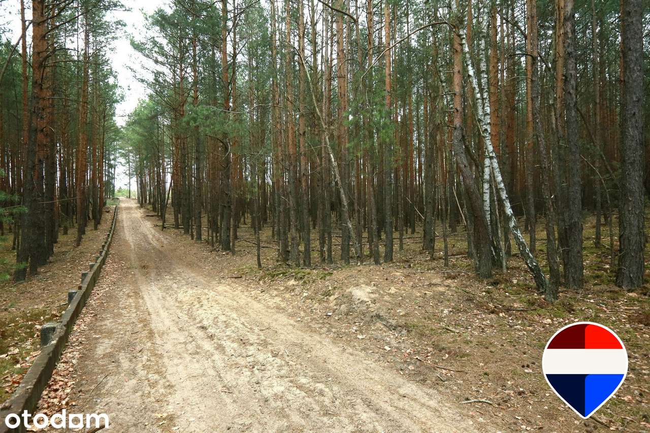 Działki pod przyszłe inwestycje Warszawa Wesoła - Pełny obrazek: 4/7