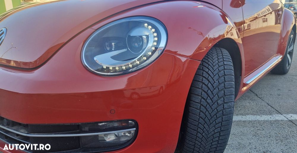 Volkswagen Beetle - 13
