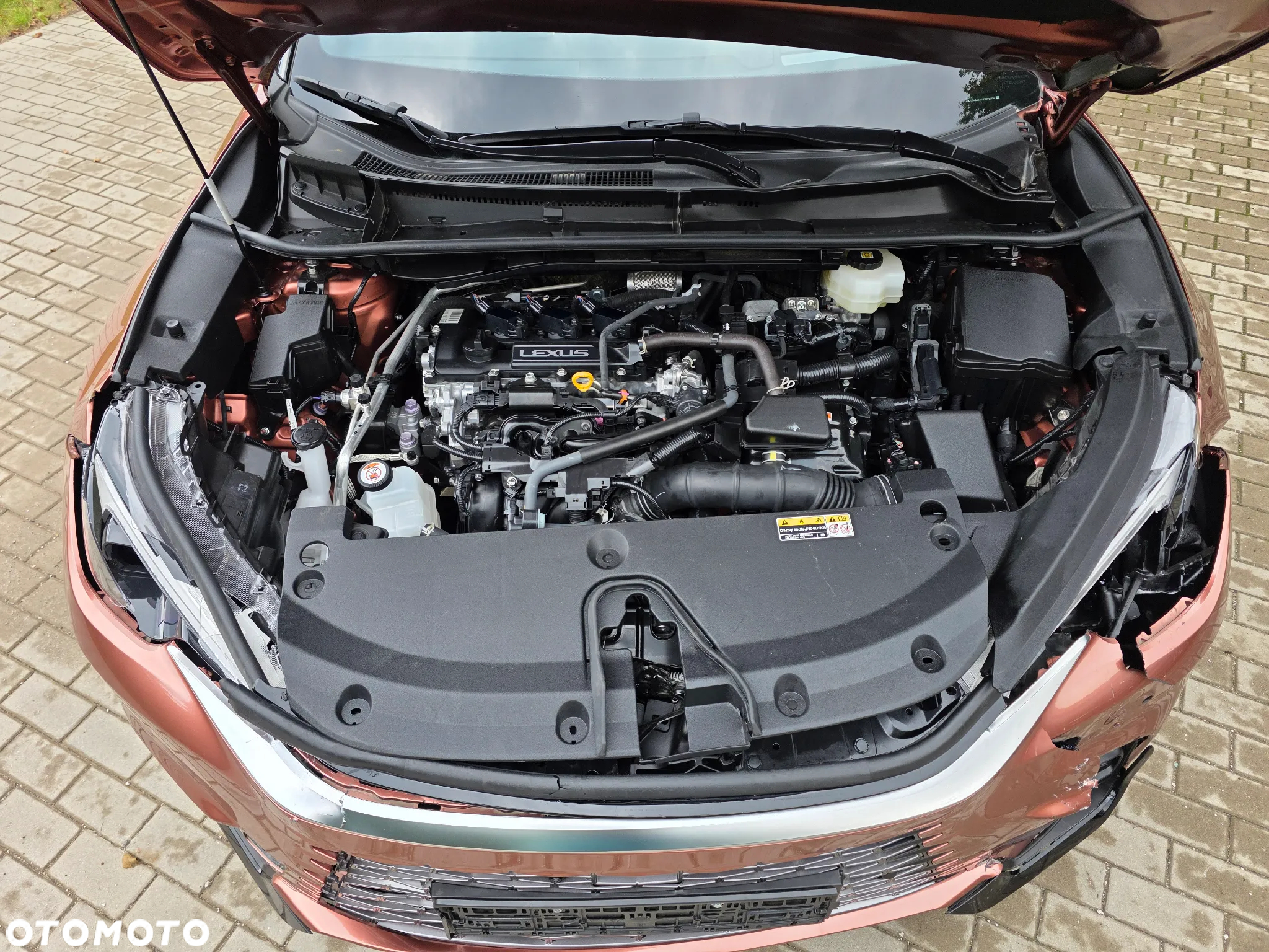Lexus LBX - 9