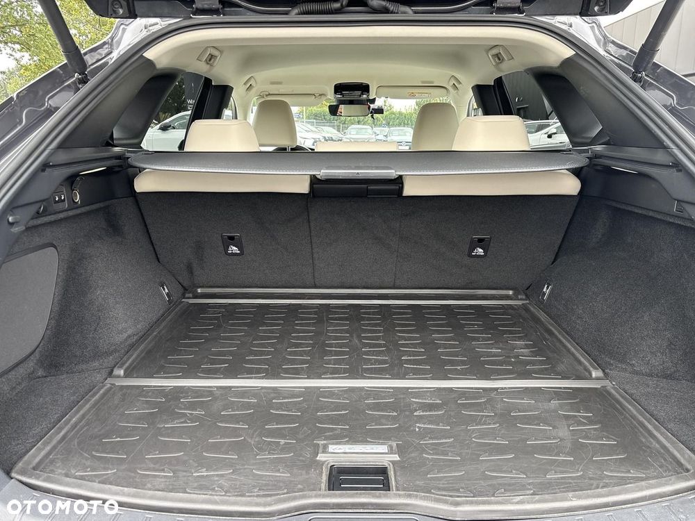 Lexus RX - 23