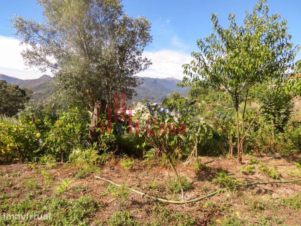 Vende-se Quintinha e Casa- Gerês-Braga - Grande imagem: 5/10