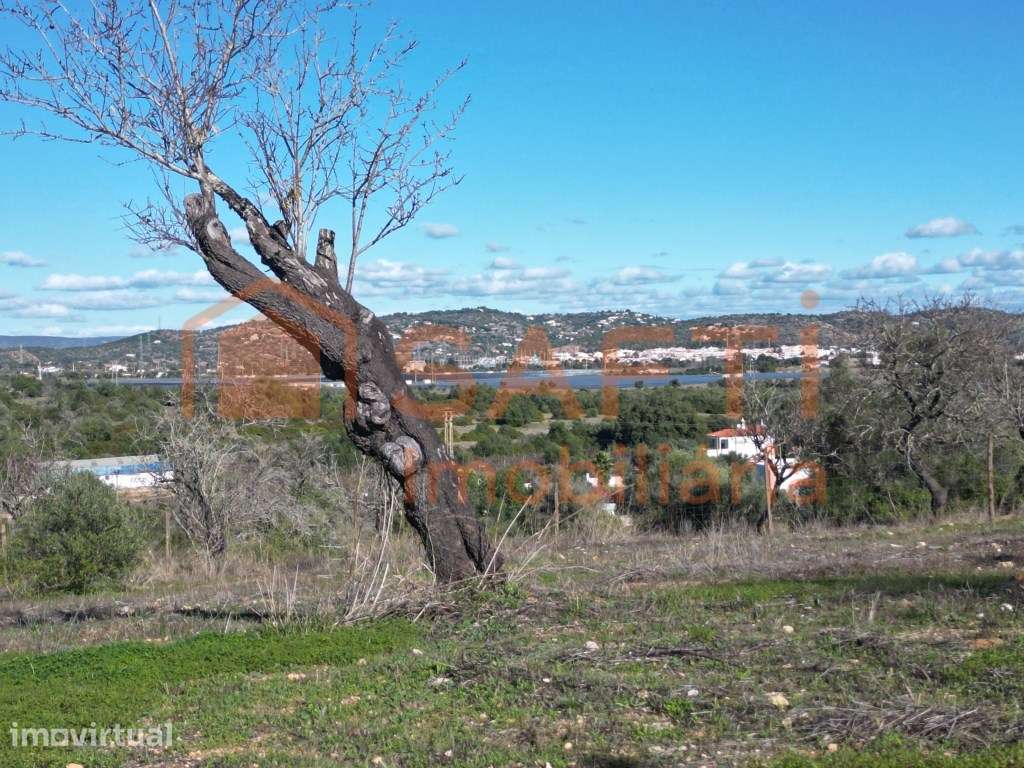 Terreno em Baians, Algoz - Grande imagem: 3/19